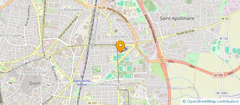 localisation de l'entreprise MADAME ELYSE RAPPE  DIJON