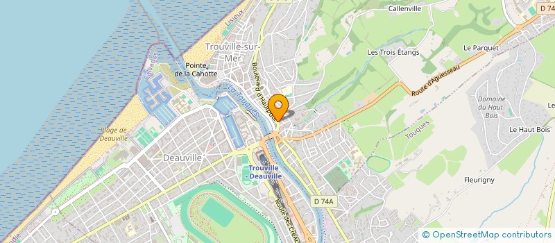 localisation de l'entreprise MADAME ELZBIETA AUGER-LASEK  TROUVILLE-SUR-MER