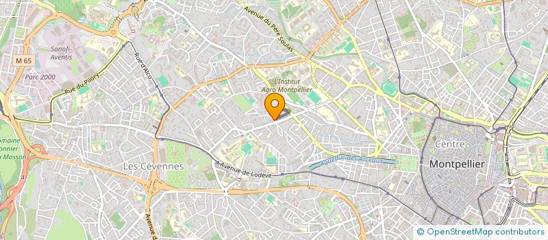 localisation de l'entreprise MADAME EMAILY RAYALEH à MONTPELLIER