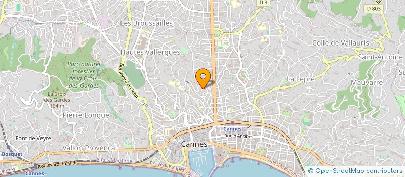 localisation de l'entreprise MADAME EMANOELA POP à CANNES