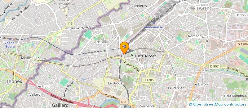 localisation de l'entreprise MADAME EMANUELA ARSENI  ANNEMASSE