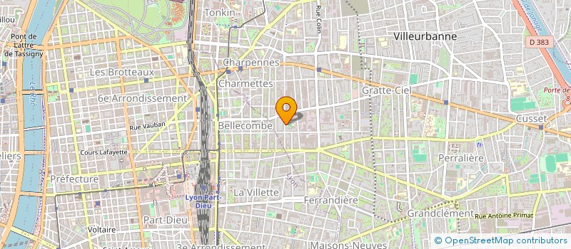localisation de l'entreprise MADAME EMELINE-ANN BELLEMIN  VILLEURBANNE