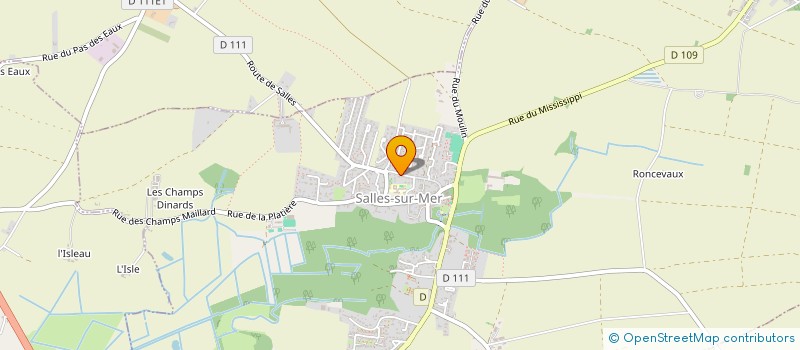 localisation de l'entreprise MADAME EMELINE CHOQUET  SALLES-SUR-MER