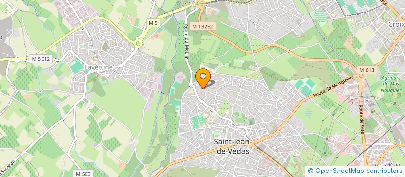 localisation de l'entreprise MADAME EMELINE COULET  SAINT-JEAN-DE-VEDAS