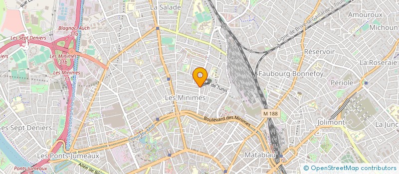 localisation de l'entreprise MADAME EMELINE CZECZOTKA à TOULOUSE