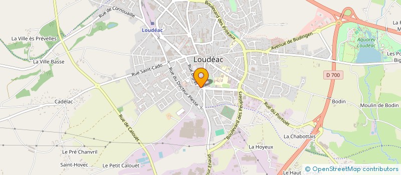 localisation de l'entreprise MADAME EMELINE LE SAUCE à LOUDEAC