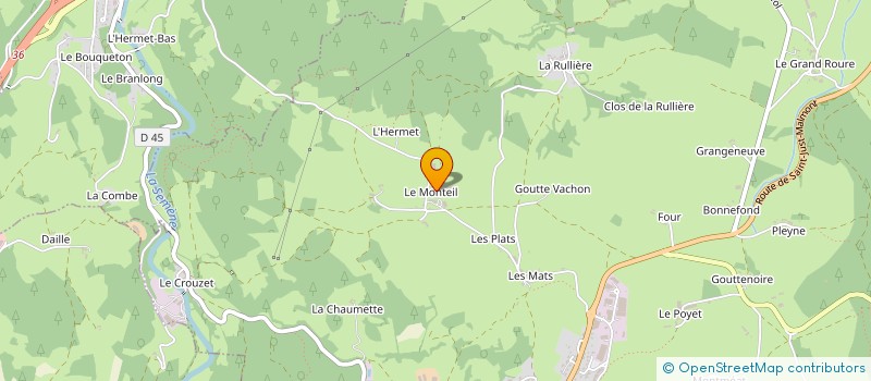 localisation de l'entreprise MADAME EMELINE PARTIDA  SAINT-DIDIER-EN-VELAY