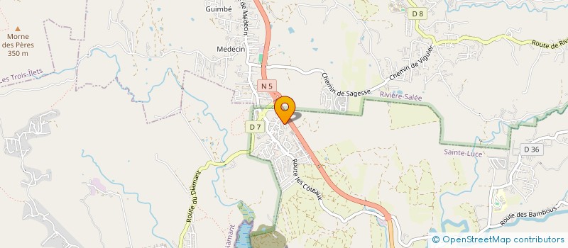 localisation de l'entreprise MADAME EMELINE REMION  SAINTE-LUCE