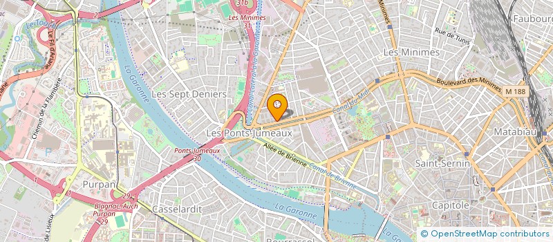 localisation de l'entreprise MADAME EMELINE RIVIERE à TOULOUSE