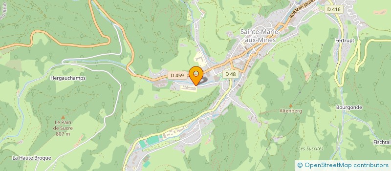 localisation de l'entreprise MADAME EMELINE VALENTIN  SAINTE-MARIE-AUX-MINES