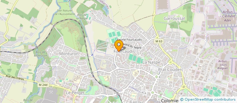 localisation de l'entreprise MADAME EMILIA LOZE à COLOMIERS