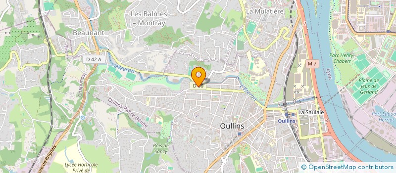 localisation de l'entreprise MADAME EMILIA MALDONADO IZA  OULLINS-PIERRE-BENITE