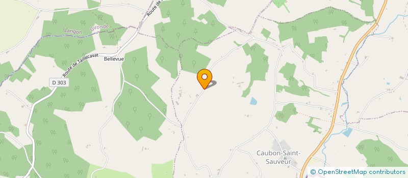 localisation de l'entreprise MADAME EMILIE ALVAREZ  CAUBON-SAINT-SAUVEUR