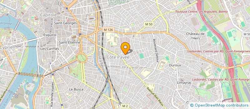 localisation de l'entreprise MADAME EMILIE ANOUILH  TOULOUSE