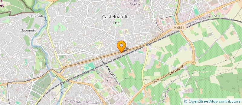 localisation de l'entreprise MADAME EMILIE ARTIGE à CASTELNAU-LE-LEZ