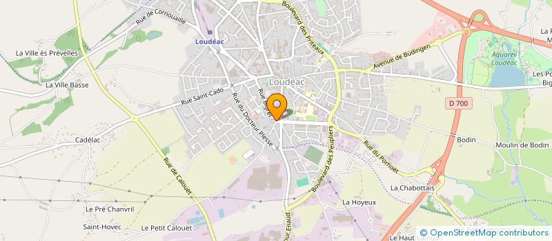 localisation de l'entreprise MADAME EMILIE BASSET à LOUDEAC
