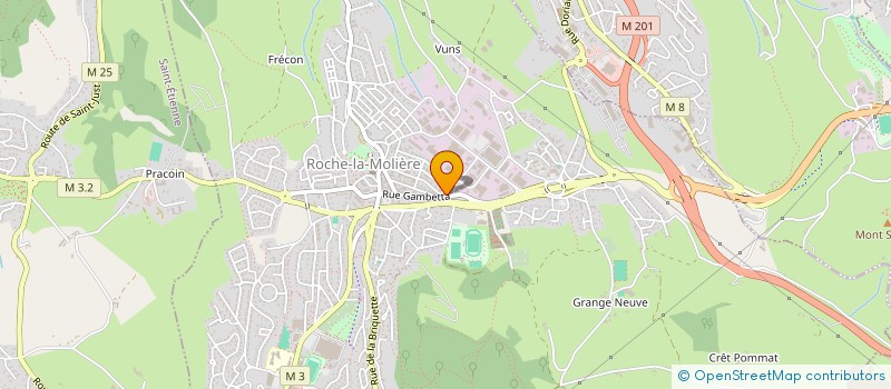 localisation de l'entreprise MADAME EMILIE BERNAUD  ROCHE-LA-MOLIERE