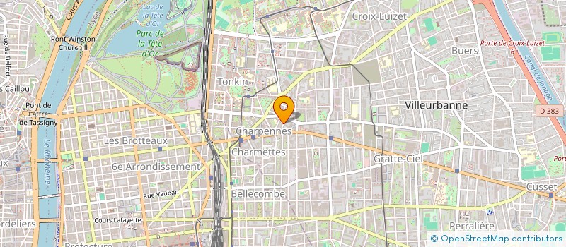 localisation de l'entreprise MADAME EMILIE BIRRAUX  VILLEURBANNE