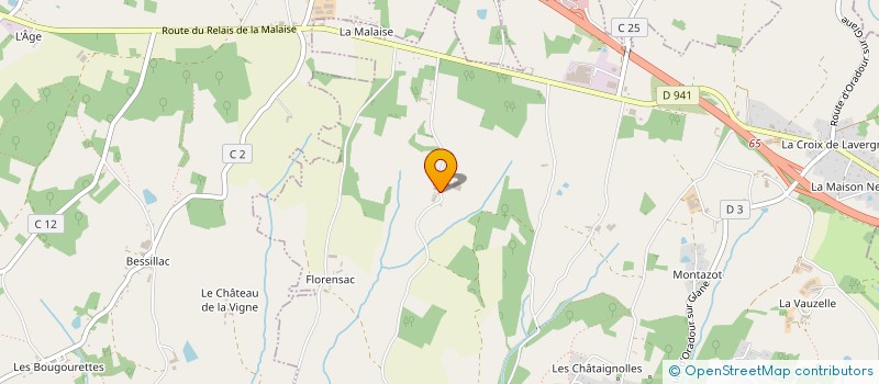 localisation de l'entreprise MADAME EMILIE BOISSOU à SAINT-VICTURNIEN