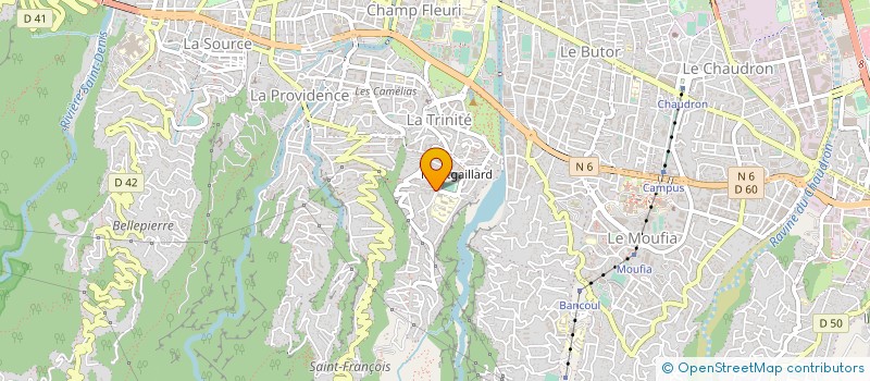 localisation de l'entreprise MADAME EMILIE BORDAS  SAINT-DENIS