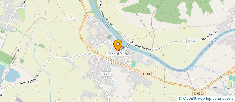 localisation de l'entreprise MADAME EMILIE BORRINI à BUZET-SUR-TARN