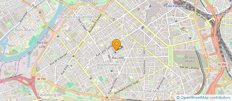 localisation de l'entreprise MADAME EMILIE BOUREL  LILLE