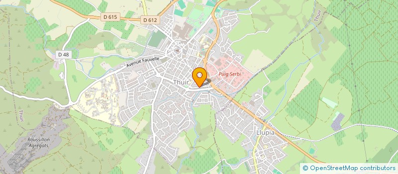 localisation de l'entreprise MADAME EMILIE BOUTONNET  THUIR