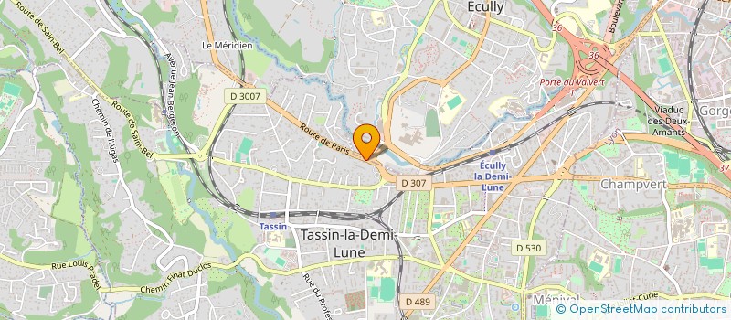 localisation de l'entreprise MADAME EMILIE CASTRO  TASSIN-LA-DEMI-LUNE