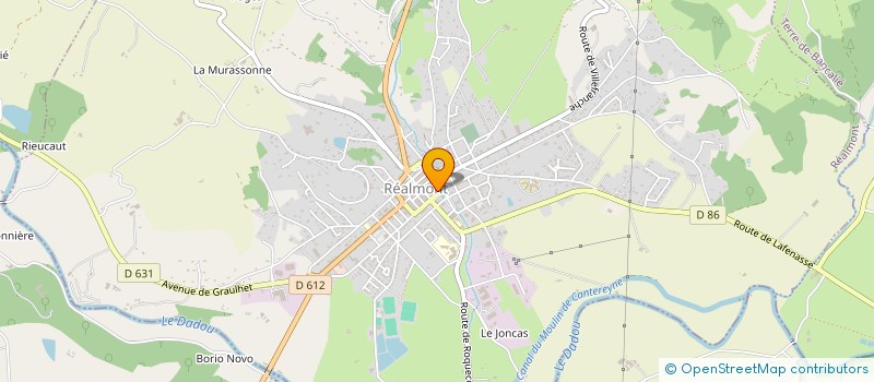 localisation de l'entreprise MADAME EMILIE CAVALIER  REALMONT