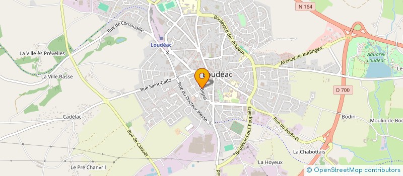 localisation de l'entreprise MADAME EMILIE CHENY à LOUDEAC