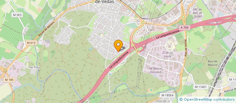 localisation de l'entreprise MADAME EMILIE CHOSSON  SAINT-JEAN-DE-VEDAS