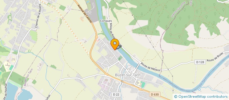 localisation de l'entreprise MADAME EMILIE DASSE  BUZET-SUR-TARN