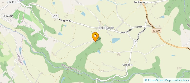 localisation de l'entreprise MADAME EMILIE DAVINROY  BELLEGARDE-MARSAL