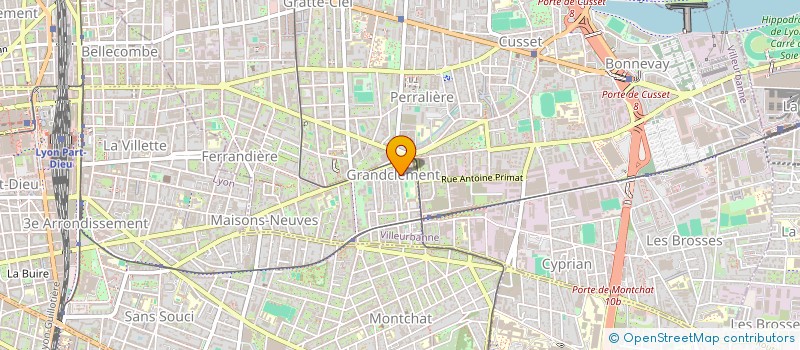 localisation de l'entreprise MADAME EMILIE DE MACEDO  VILLEURBANNE