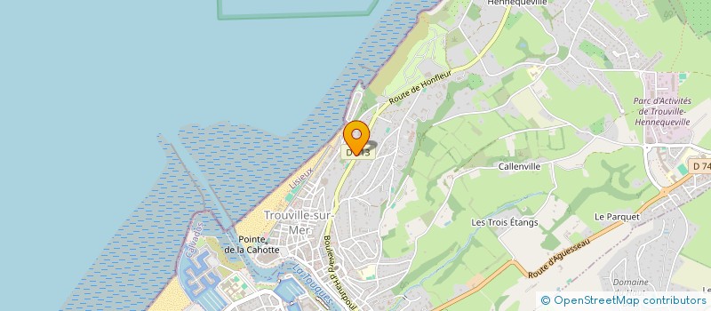 localisation de l'entreprise MADAME EMILIE DEYBER  TROUVILLE-SUR-MER