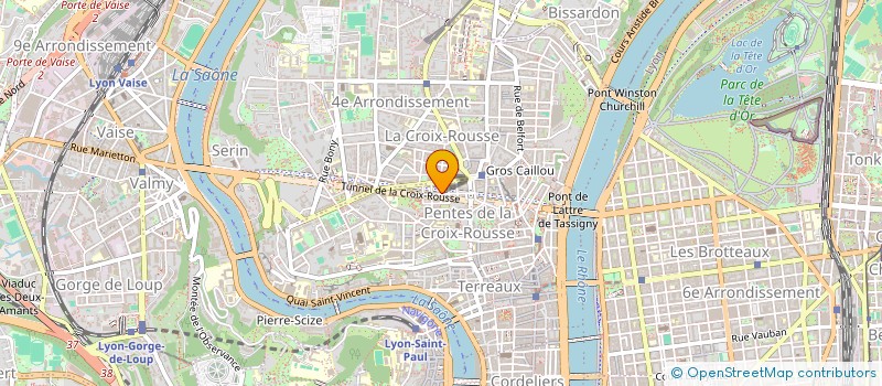 localisation de l'entreprise MADAME EMILIE DUMENIL  LYON