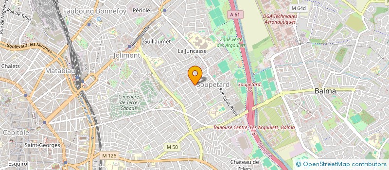 localisation de l'entreprise MADAME EMILIE ERBIN à TOULOUSE