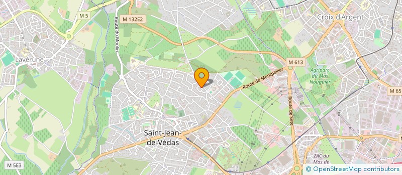 localisation de l'entreprise MADAME EMILIE FERNANDEZ  SAINT-JEAN-DE-VEDAS