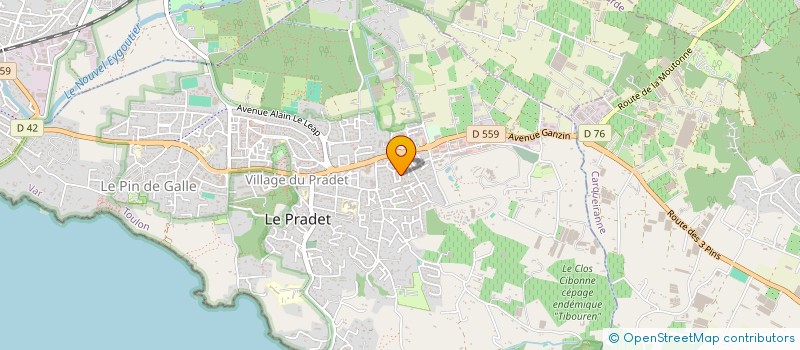 localisation de l'entreprise MADAME EMILIE FLECHE  LE PRADET