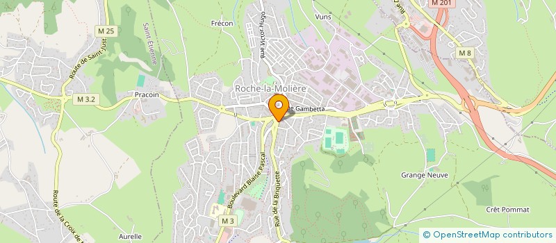 localisation de l'entreprise MADAME EMILIE FRANC  ROCHE-LA-MOLIERE