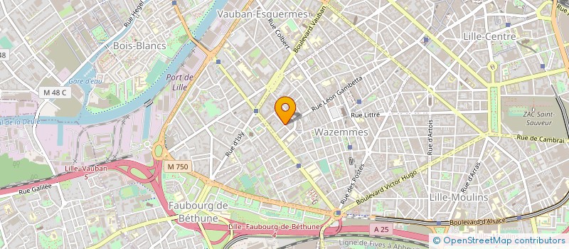 localisation de l'entreprise MADAME EMILIE GARNIER à LILLE