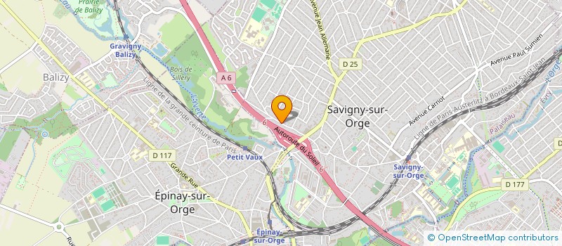 localisation de l'entreprise MADAME EMILIE GOYER  SAVIGNY-SUR-ORGE