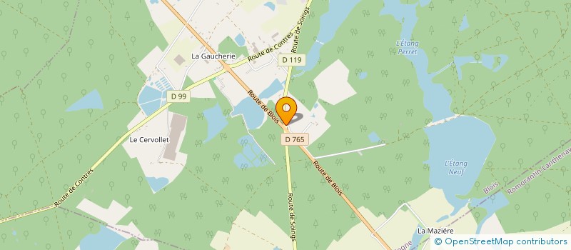 localisation de l'entreprise MADAME EMILIE GREGOIRE  FONTAINES-EN-SOLOGNE