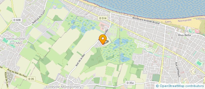 localisation de l'entreprise MADAME EMILIE HAUCHARD  COLLEVILLE-MONTGOMERY