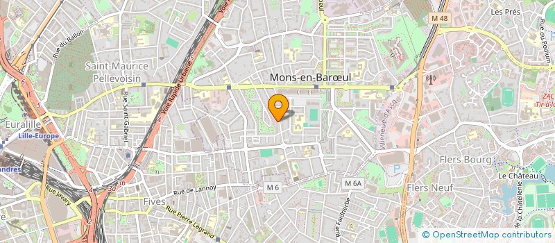 localisation de l'entreprise MADAME EMILIE LE BORGNE  MONS-EN-BARUL