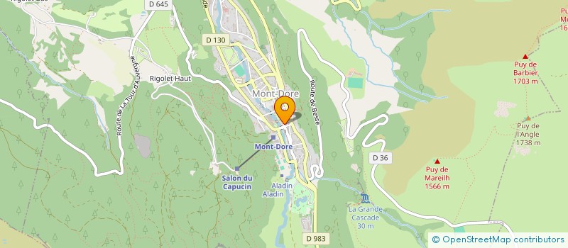 localisation de l'entreprise MADAME EMILIE LOURDIN  MONT-DORE