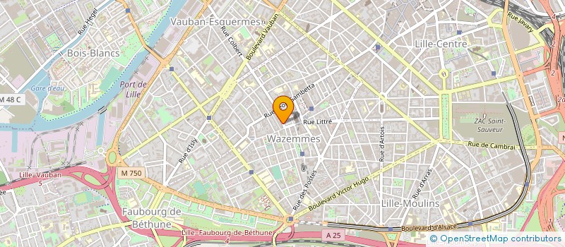 localisation de l'entreprise MADAME EMILIE LUU à LILLE
