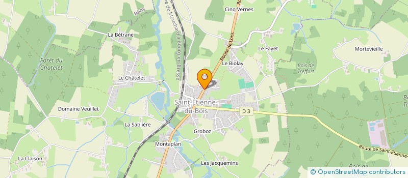 localisation de l'entreprise MADAME EMILIE MILLET  SAINT-ETIENNE-DU-BOIS