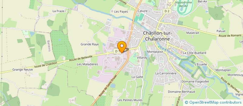 localisation de l'entreprise MADAME EMILIE MONJON à CHATILLON-SUR-CHALARONNE