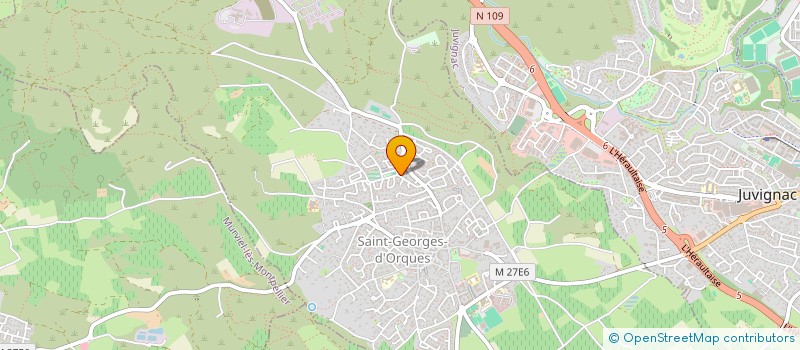 localisation de l'entreprise MADAME EMILIE NIEL  SAINT-GEORGES-D'ORQUES